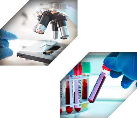 Microscópio e tubos de coleta de sangue