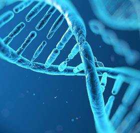 Ilustração de fita de DNA
